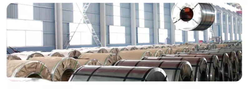 PPGI Coil Color Coated Steel Coil for Structure Use From China Factory